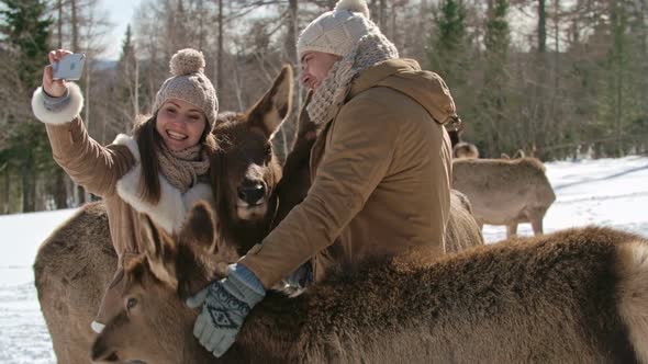 Tourist Taking Selfie with Fawns alt