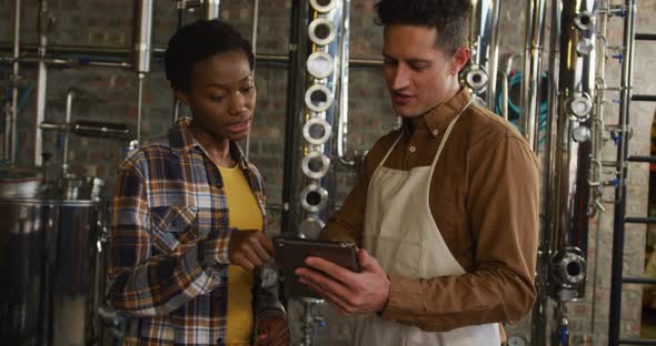 Diverse male and female colleague at gin distillery using tablet, talking and smiling alt