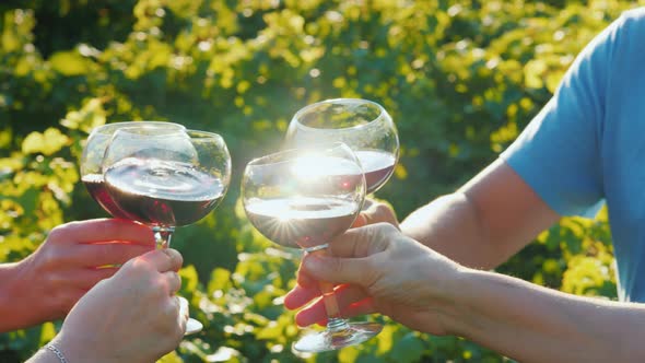 A Group of Tourists Tasting Wine Near the Vineyard. Together Clink Glasses alt