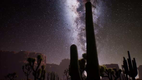 The Milky Way Above the Utah Desert, USA alt
