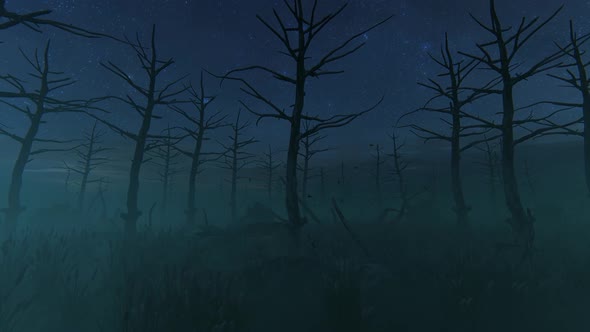 Scary Forest At Night 2K