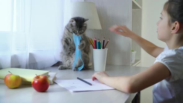 Happy Little Girl Playing with Her Pet Cat and Looking at the Camera