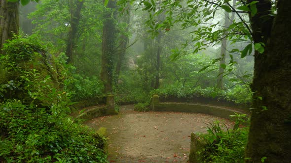 Hidden Place in Pena Park - Old Stone Oval Bench Covered with Moss alt