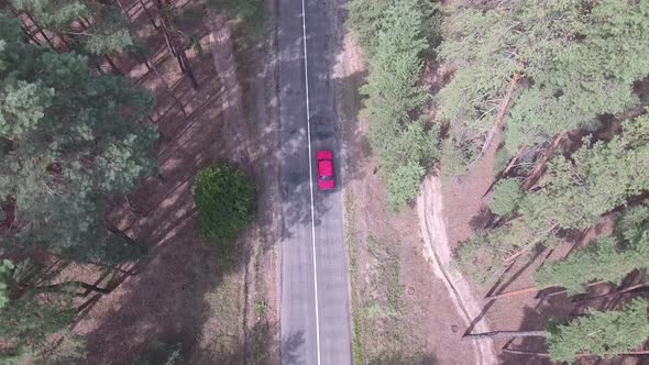 Drone View on the Pine Trees Red Car Drives Along an Old Road in a Pine Forest alt