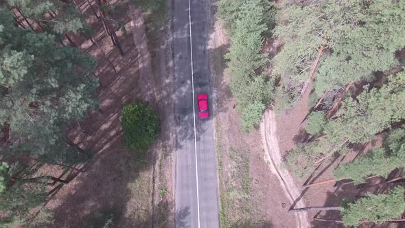 Drone View on the Pine Trees Red Car Drives Along an Old Road in a Pine Forest