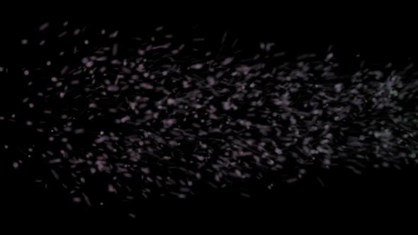 Colored Particles in the Form of Flakes on a Black Background