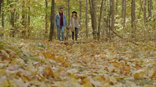 The dog jumping for a twig in his owner's hand alt