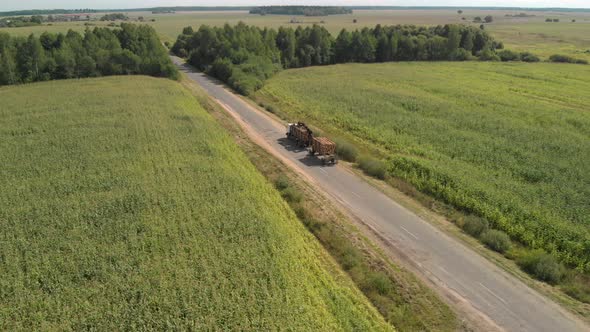 Logging Truck Drives Along a Narrow Country Road From the Deforestation Site To the Processing Plant alt
