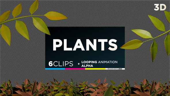 Animated plants Pack