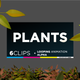Animated plants Pack - VideoHive Item for Sale
