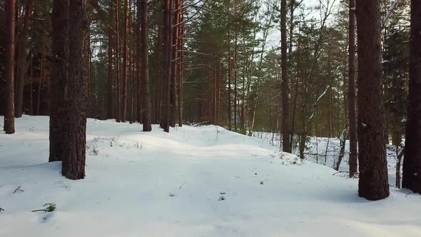 Winter Lake Streshno  alt