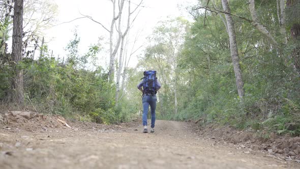 Male hiker with backpack in woods alt