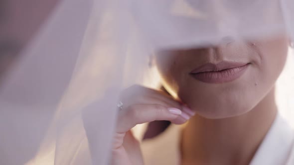 Bride in Boudoir Dress Under Veil and in a Silk Robe Wedding Morning Woman in Night Gown and Veil alt