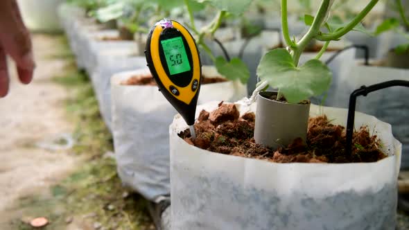 Use soil PH meter for check the PH value  alt