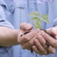 Hands Holding Plant - VideoHive Item for Sale