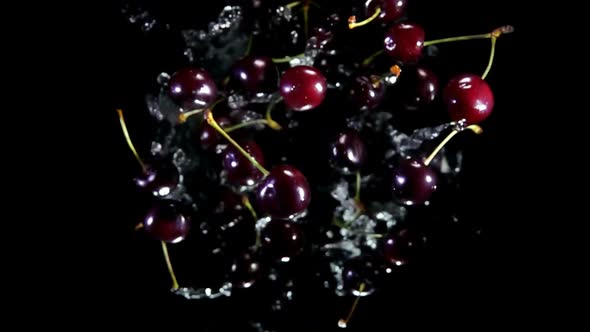 Top View of the Dark Red Cherries Bouncing Up on a Black Background alt