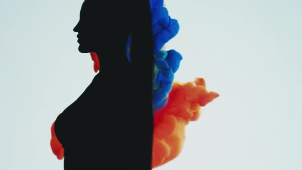 Silhouette Female Portrait Energy Flow Magic Art alt