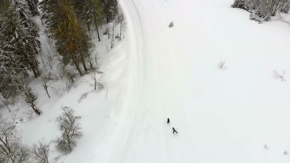 Aerial View From the Top, Athletes the Skiers Overcome Distance on Skis Passing By Posted Route From alt