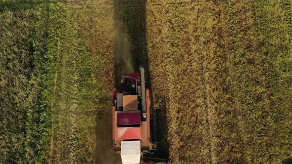 Combine Harvester Working on a Yellow Farm Field, Cinematic Aerial View From Top To Bottom From a alt