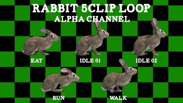 Rabbit 5Clip Loop