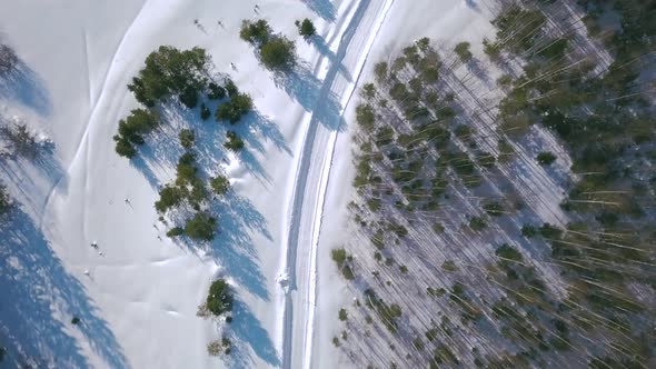 The expanses of the winter forest alt