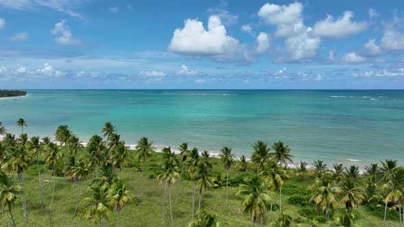 Northeast Brazil. Sao Miguel dos Milagres Beach at Alagoas Brazil. alt