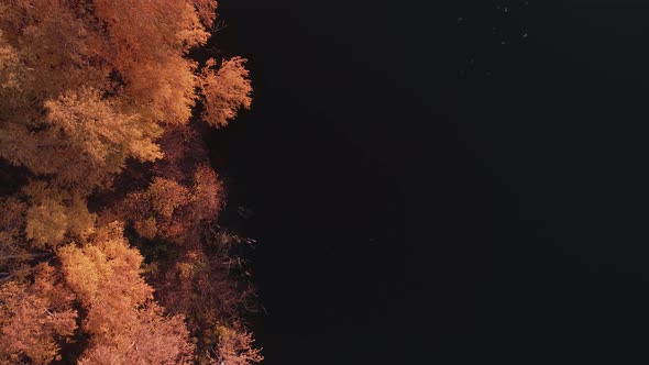 Rafting on the Forest River on Beautiful Sunny Autumn Days alt