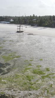 Tanzania  Vertical Video of Low Tide in the Ocean Near the Coast of Zanzibar Slow Motion alt