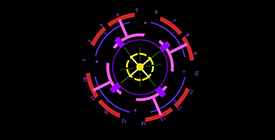 ANIMATION ILLUSTRATION