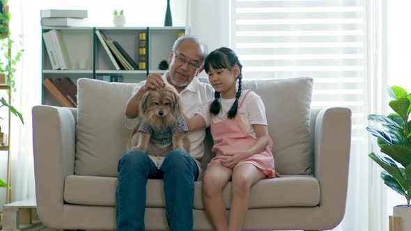 Asian Elderly and children sit on sofa and playing with dog together in living room at home alt