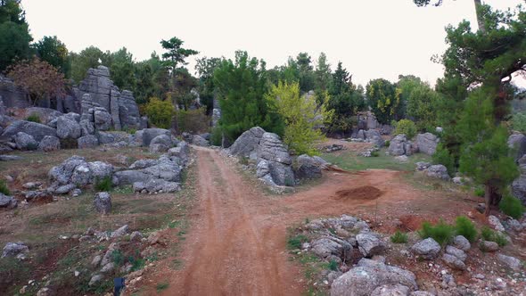 The Magnificent Panoramic View of the Park with Rock Formations and Evergreen Trees alt