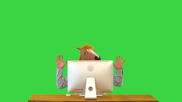 Worker in Horse Mask Frightened Sit at Computer Desktop By Accident Delete Important Document Report
