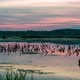 Sunset On A Lake In Ukraine - VideoHive Item for Sale
