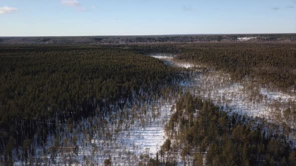 Aerial Flight Over the Winter Forest