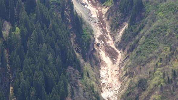 Old Avalanche Has Fallen From Snowy Mountain Peak to Valley in Forest alt