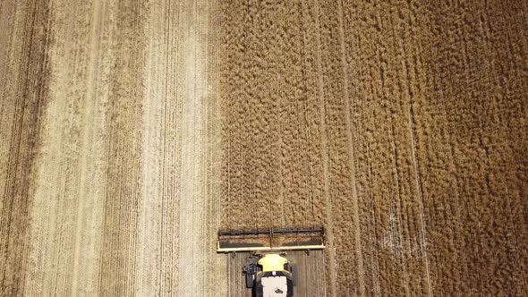 Looking down on a combine as it harvests corn then descending into the trailing dust plume - aerial alt