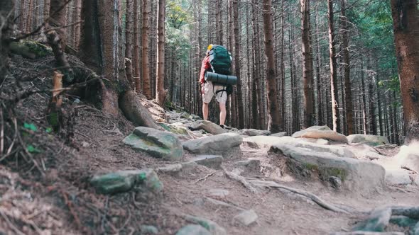 Tourist with a Backpack Walking Up Along the Stone Mountain Trail in the Forest alt