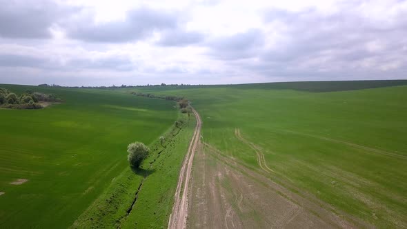 Aerial view of green agriculture field in summer or spring. alt