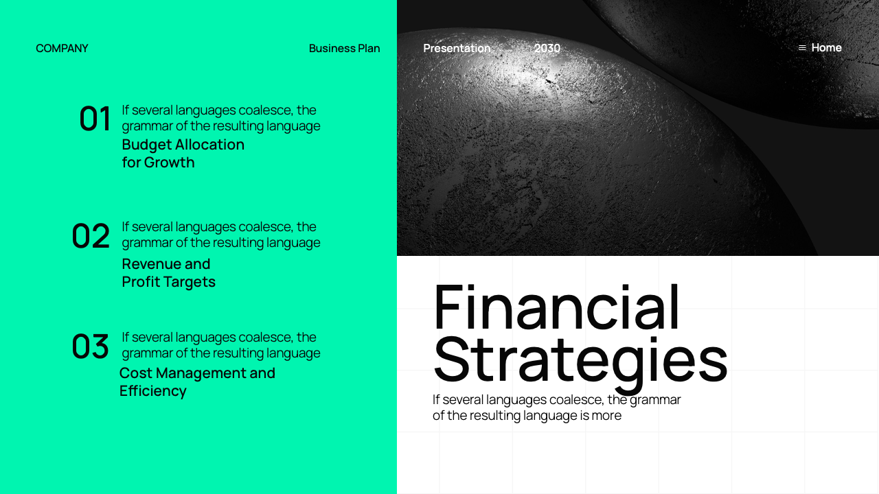 Black White Tosca Modern Business Plan Presentation, Presentation Templates