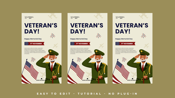 Veteran Day Instagram Stories Openers template preview
