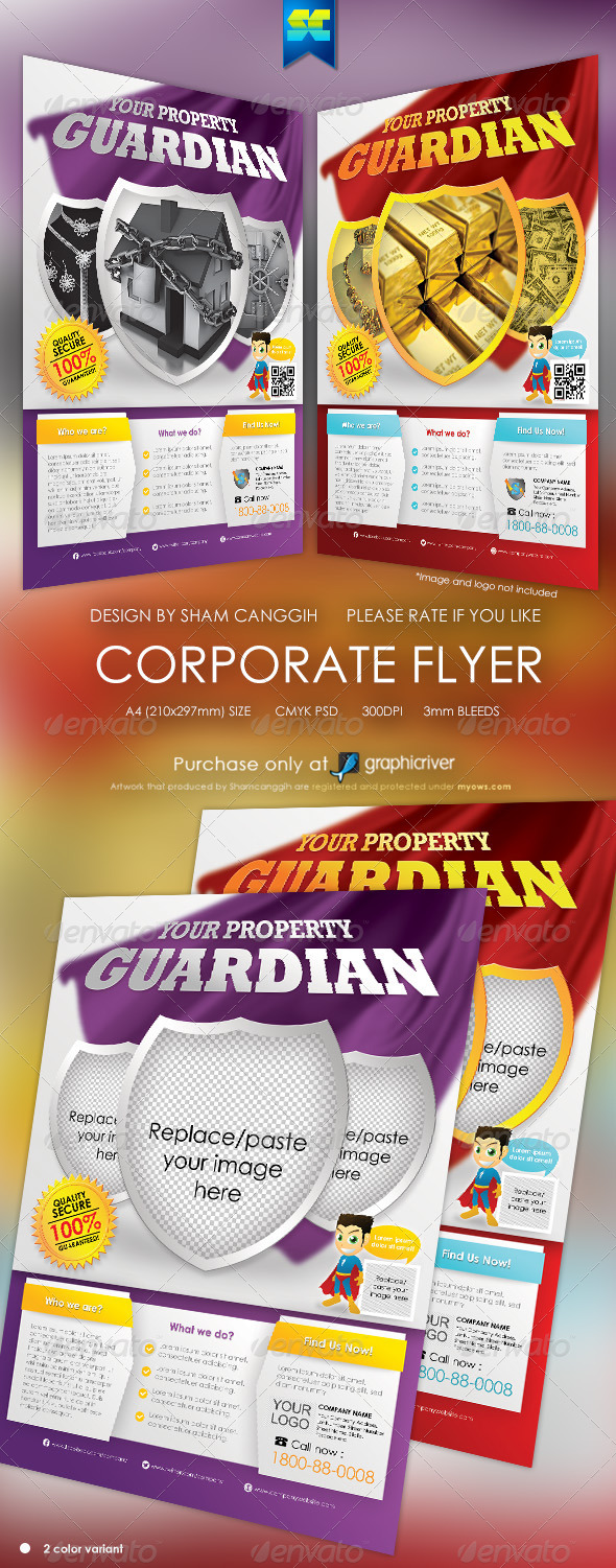 Clean Security And Insurance Modern Flyer - Corporate Flyers