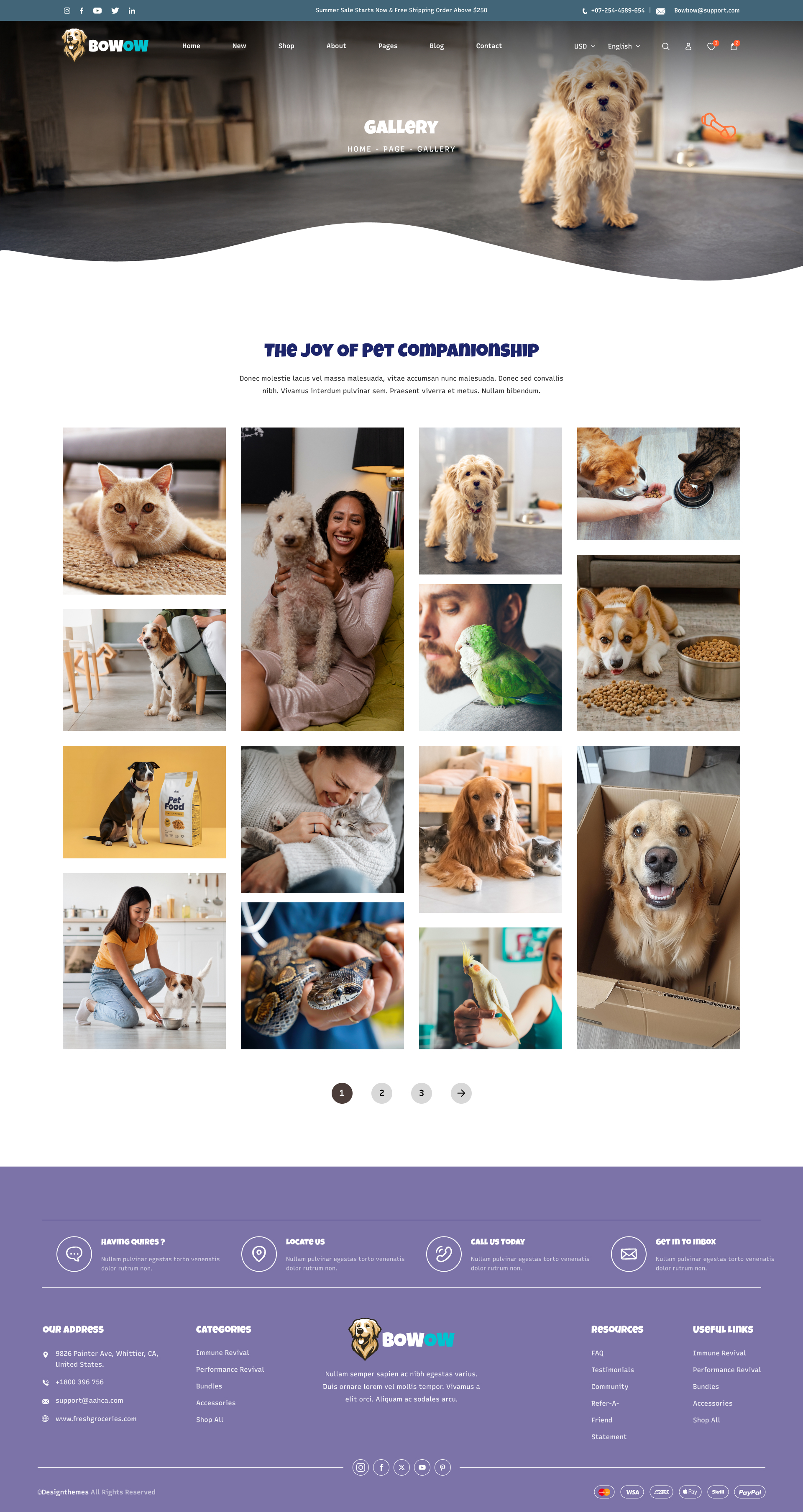 Pet Grooming Cheap Online Pet Stores Pet Grooming Pet Store Online