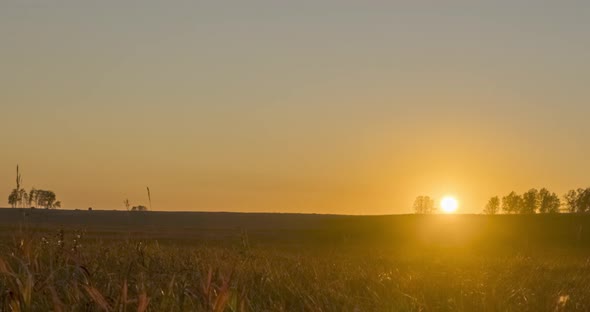 Flat Hill Meadow Timelapse at the Summer Sunset Time alt