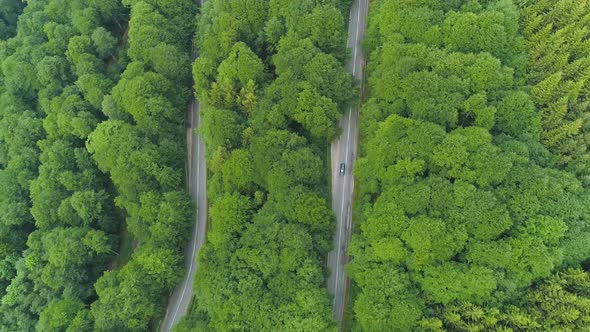 Car Going Through a Curve Road on The Mountain Forest alt