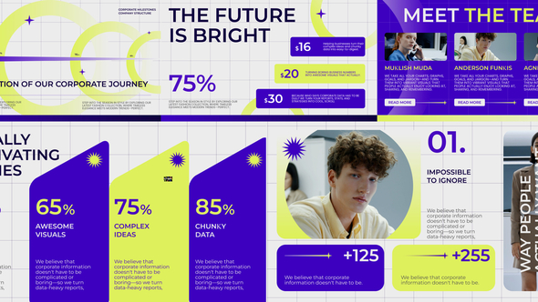 Corporate Infographic Video Displays template preview