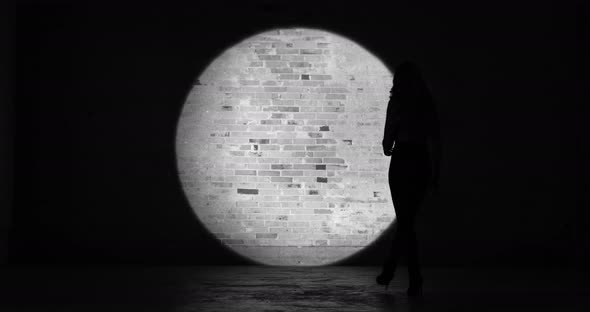 Sexy Woman Walking Towards a Brick Wall on a Black and White alt