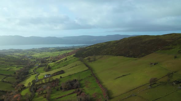 Scenic Irish countryside landscape alt