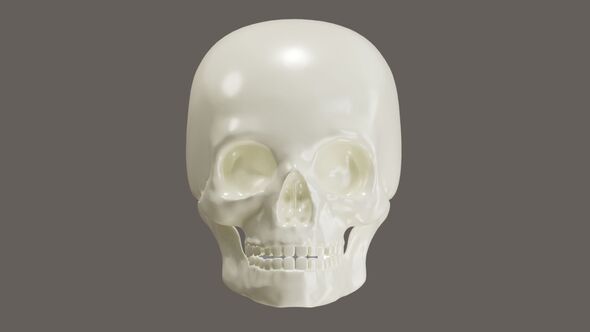 3D Animation of The skull frame protects the brain alt