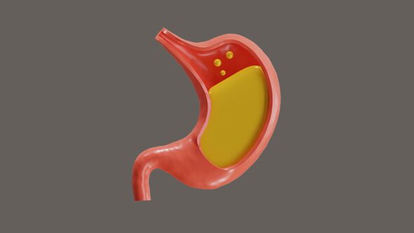 3D Animation of The stomach is for digestion alt