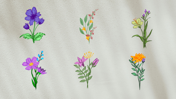 Flower Animation Elements Elements template preview